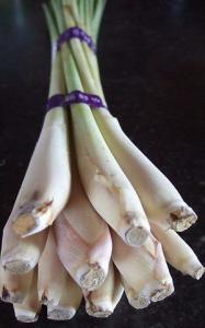 lemon grass
