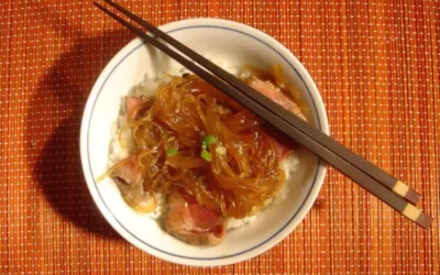 Bœuf aux harusame